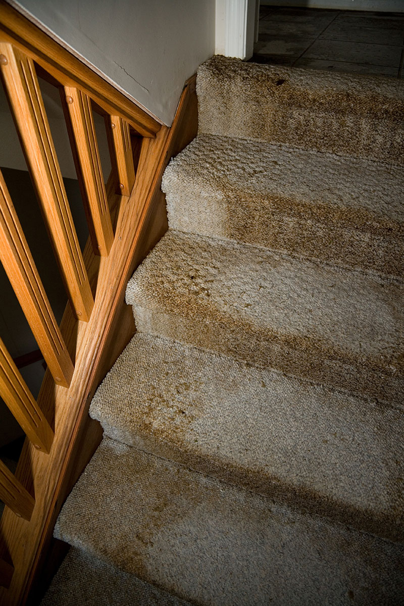 Home Interior Water leaking damaged stair and carpet