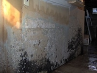 Mold damage from a serious flood.