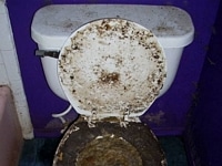 Charring, sewage, mold, and plant life in toilet.