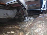 Sewage and mold damage underneath a home.